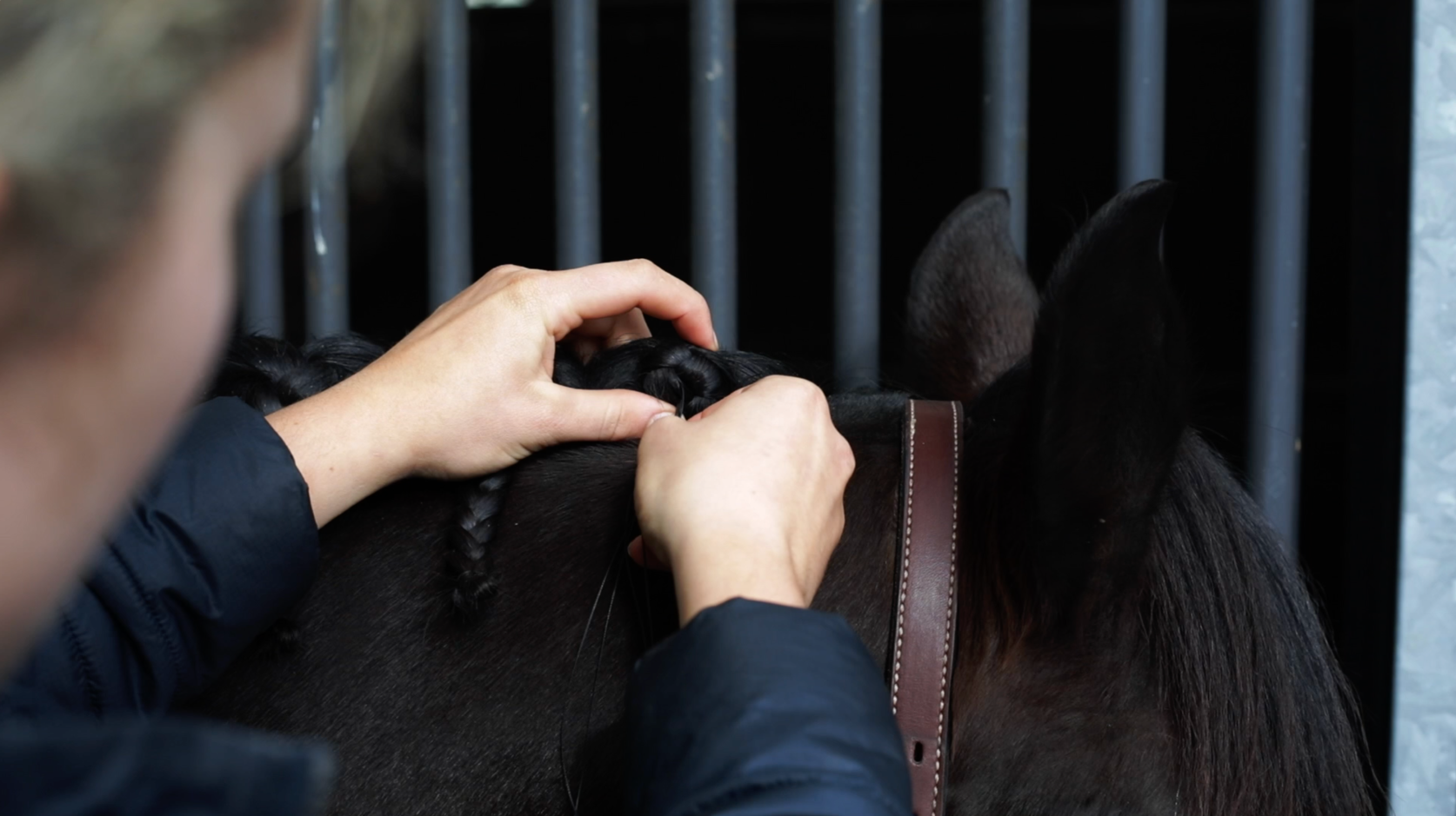 Load video: Hairy Pony How-To Video Series - Episode 1 - Perfect Plaits