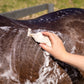 Eco-Friendly Shampoo Bar