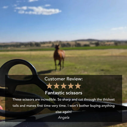 Horse Tail Trimming Scissors