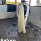 Horse Purple Hair Repair Treatment