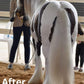 Horse Purple Hair Repair Treatment