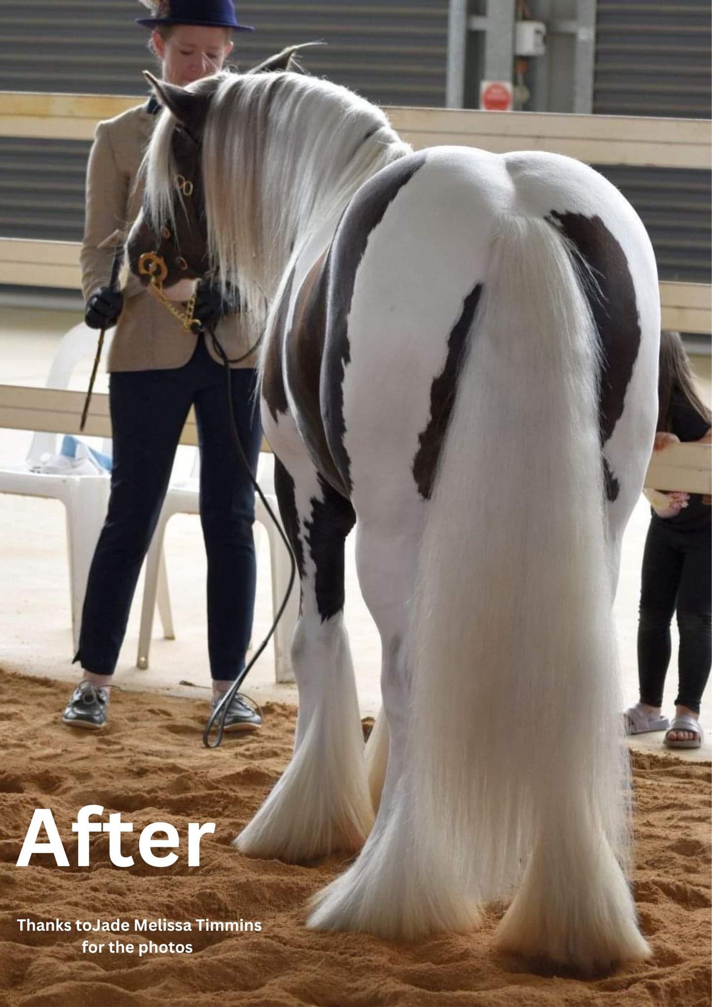 Horse Purple Hair Repair Treatment