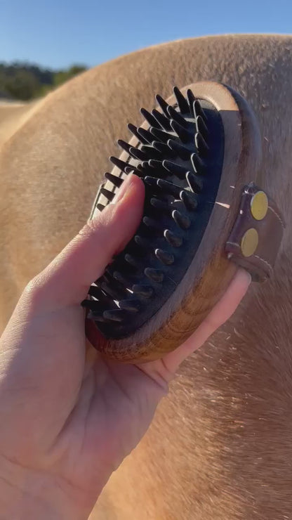 Rubber Brush