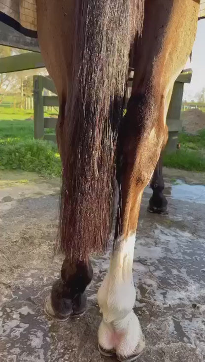 Horse Tail Trimming Scissors