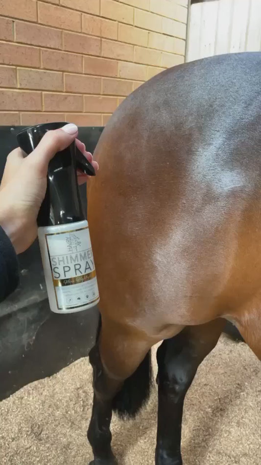 Horse Shimmer Spray