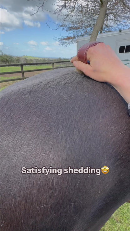 Metal Brush
