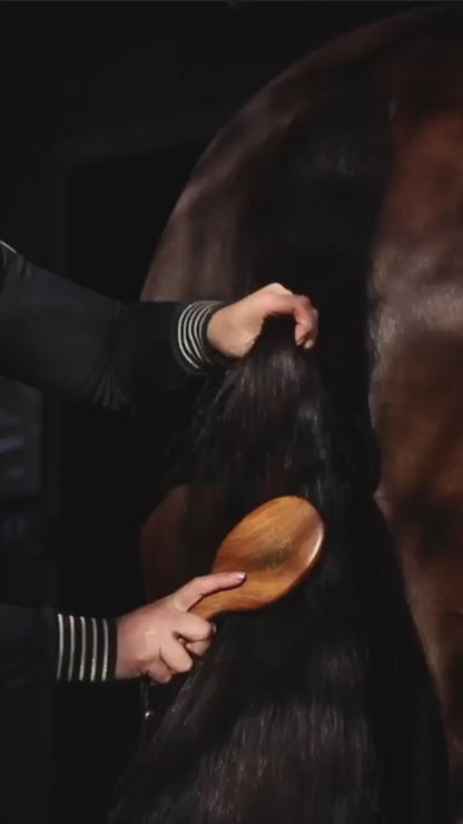 Mane and Tail Brush