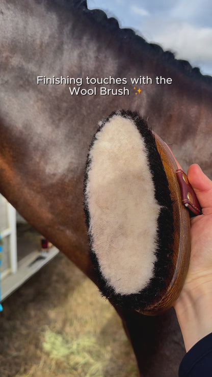 Wool Brush