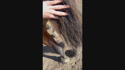 2 in 1 Detangle & Shine Spray