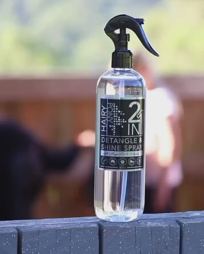 2 in 1 Detangle & Shine Spray - Original