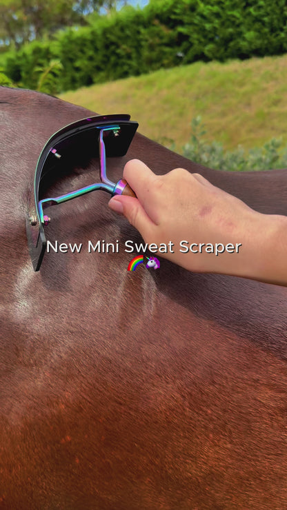 Rainbow Mini Sweat Scraper