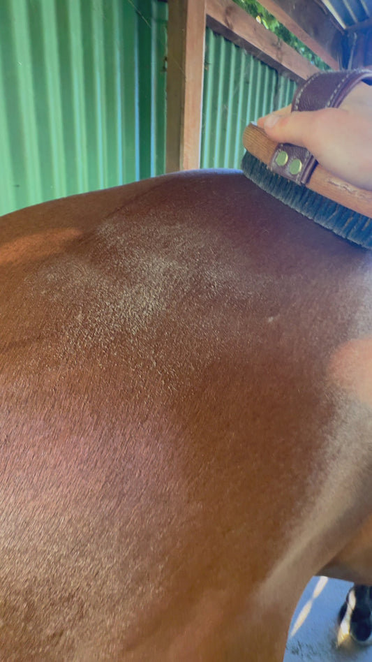 Copper Bristle Body Brush