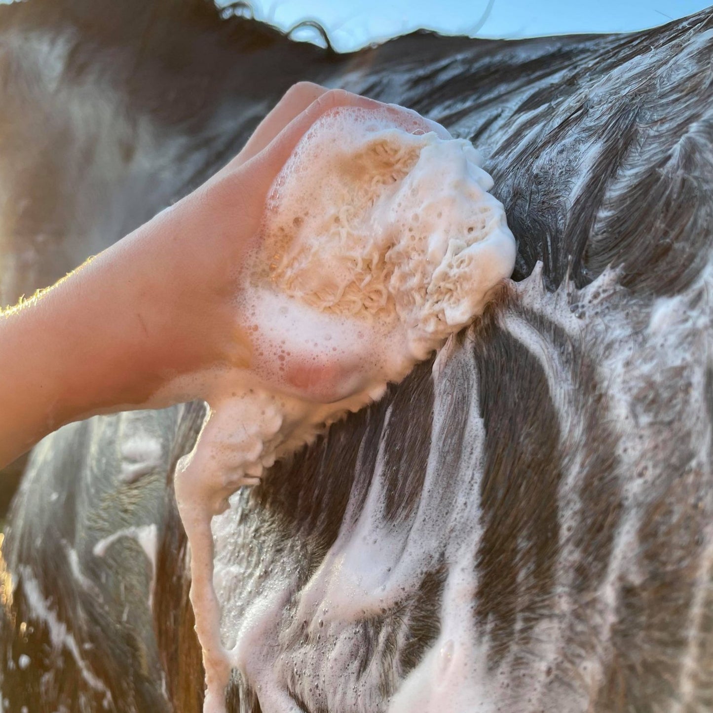 Hairy Pony Eco Friendly Horse Shampoo Bar