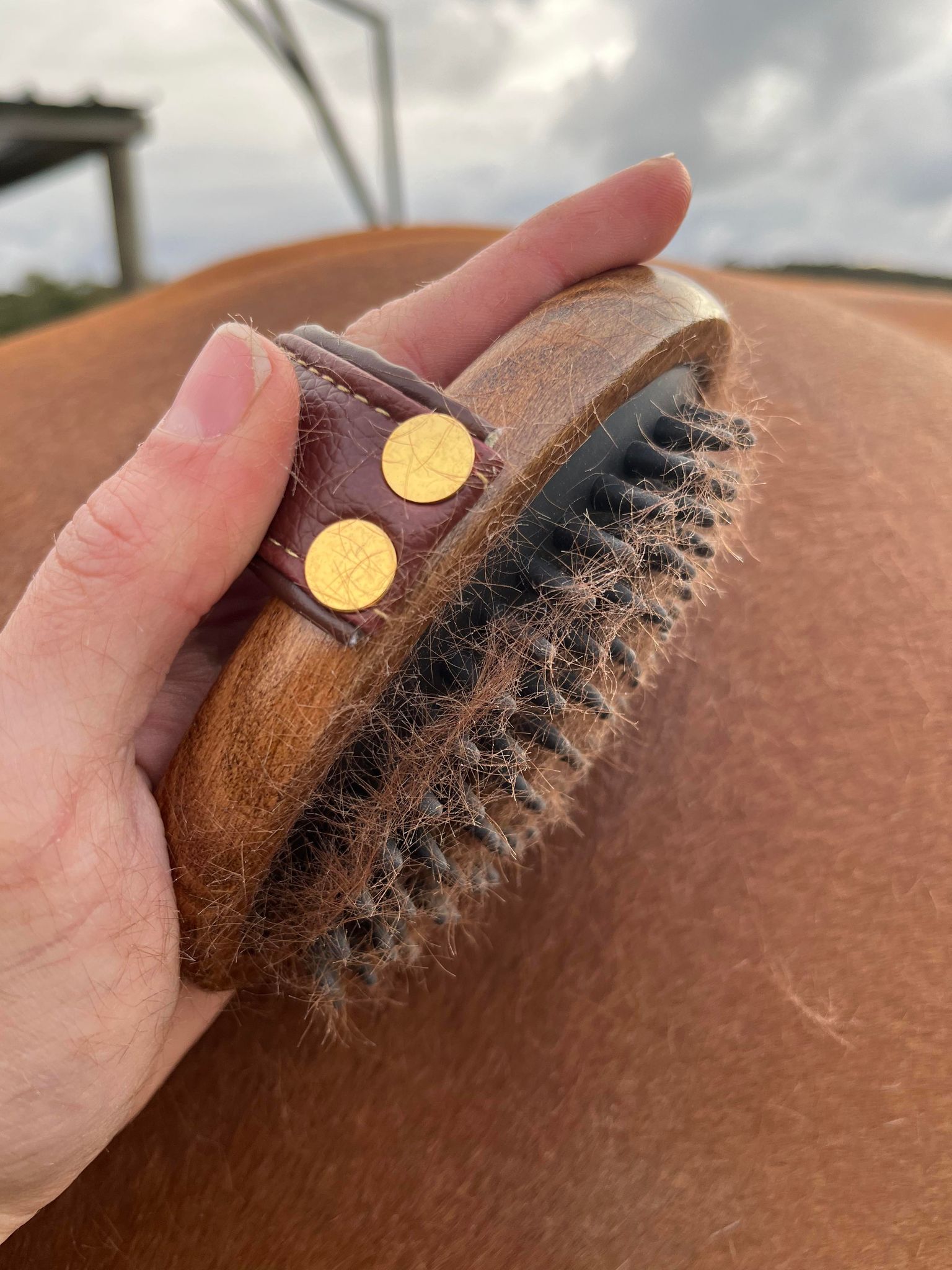 A side on view of the Hairy Pony Rubber Brush in a person's hand, showing the loose hair and dirt that has been removed from the horse's coat by using the brush.