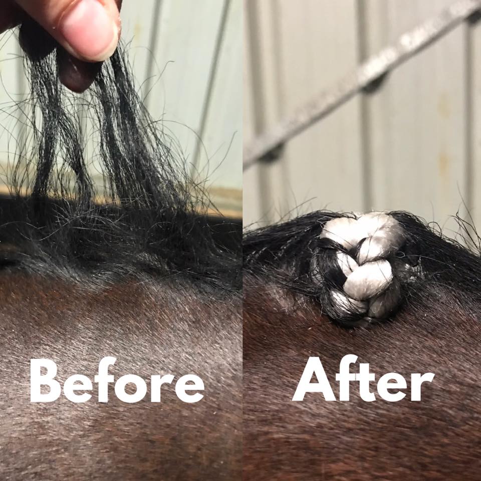 An image showing the Hairy Pony Fake It Horse Mane Hair Extensions added into a very thin mane. The horse's natural mane is black and white Fake It synthetic hair has been used to show the contrast.
