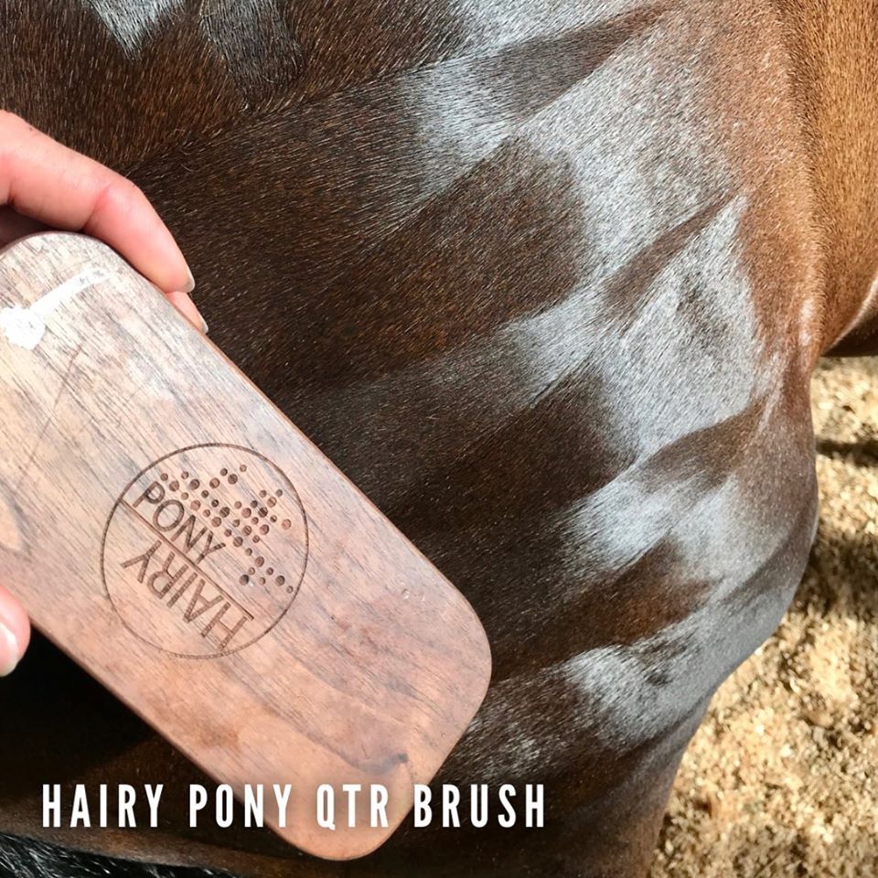 Patterns on a horse coat and a quarter mark brush