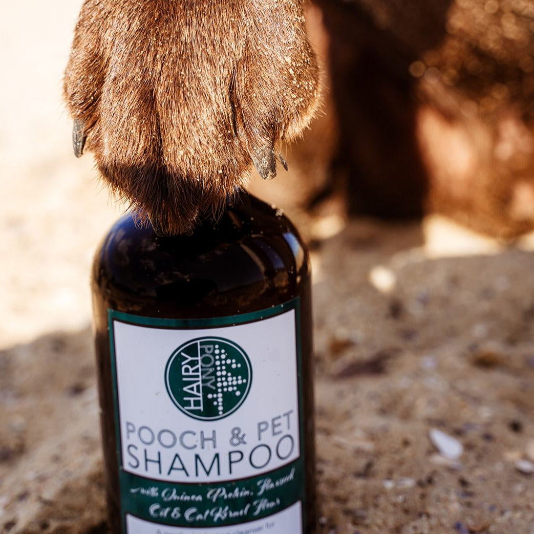 Pooch & Pet Dog Shampoo