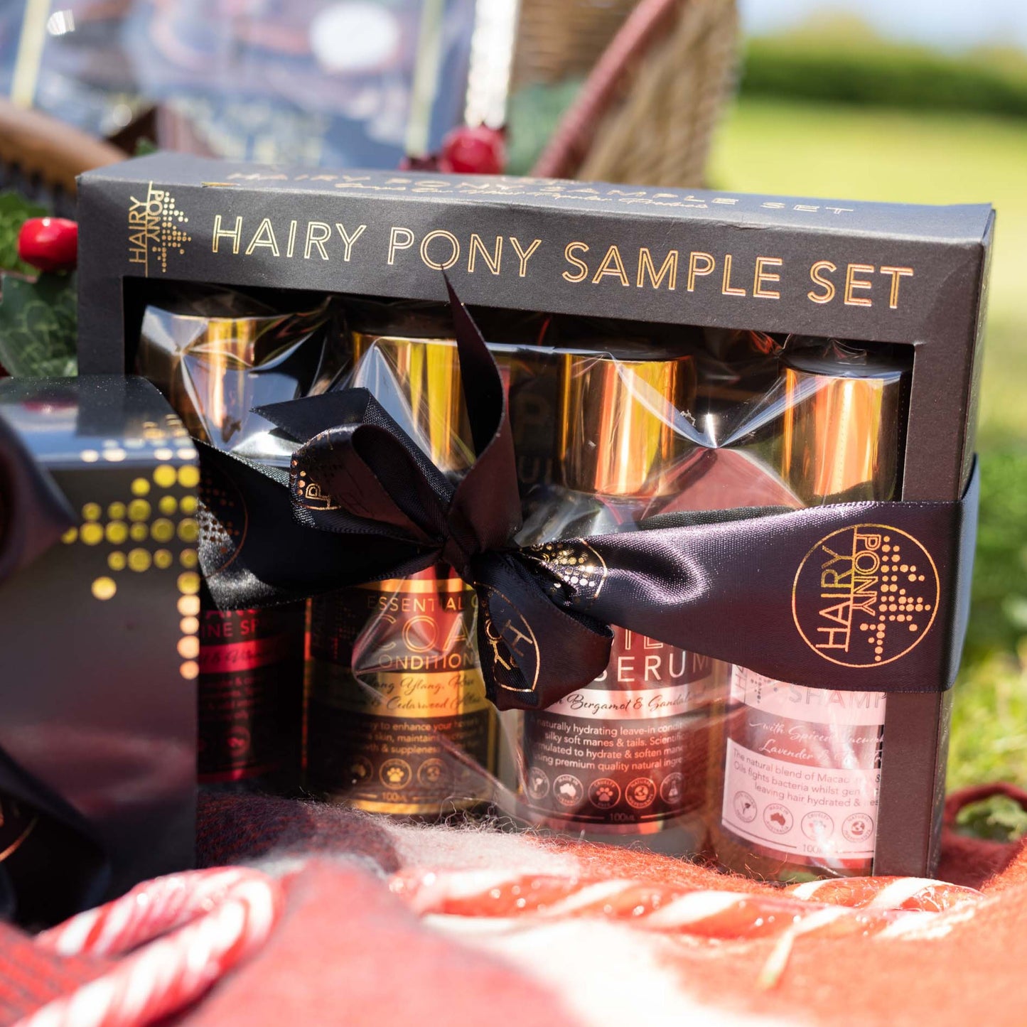 Hairy Pony Horse Grooming Sample Set