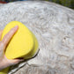 Sponge from kit being used to shampoo a horse coat
