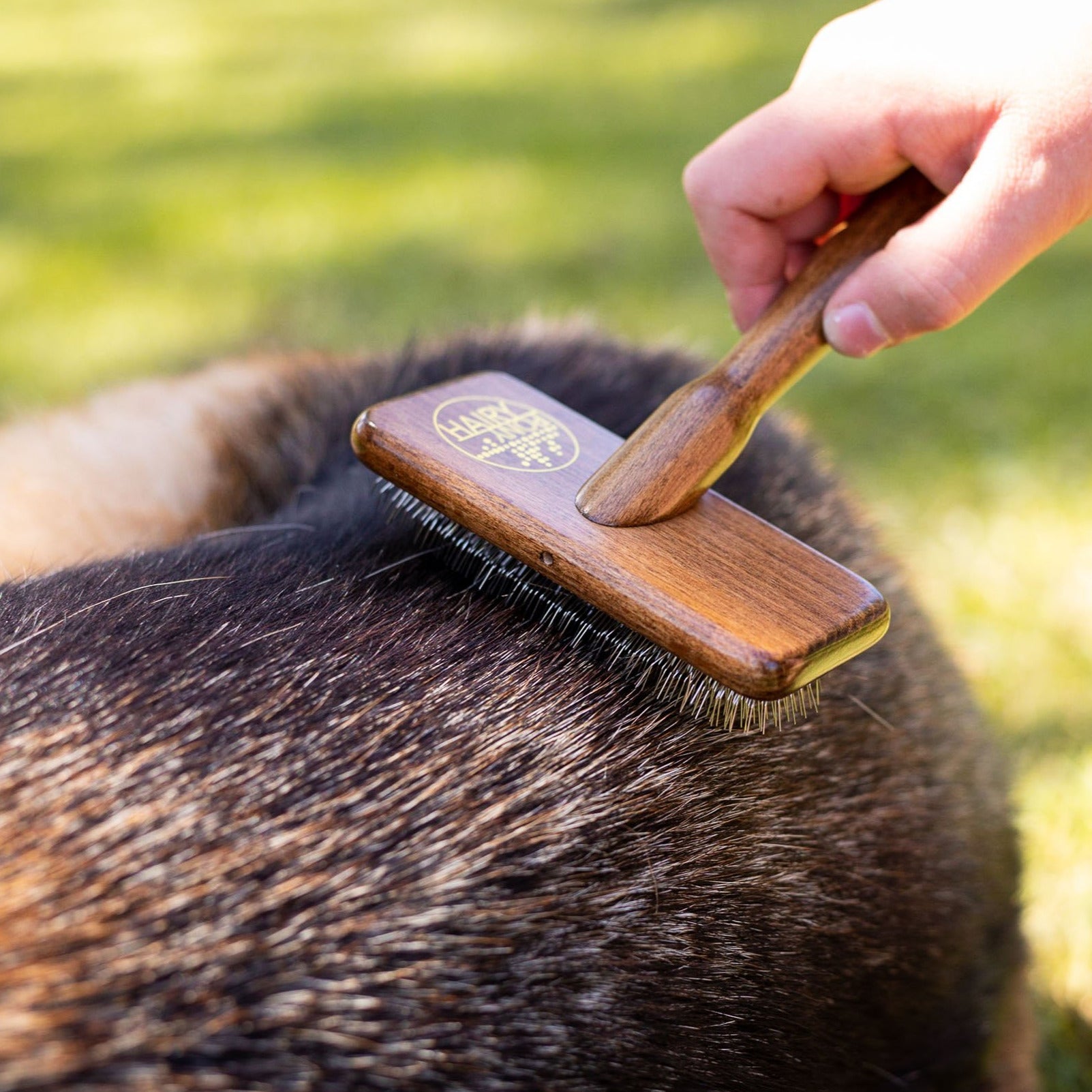 Hairy Pooch Soft Brush