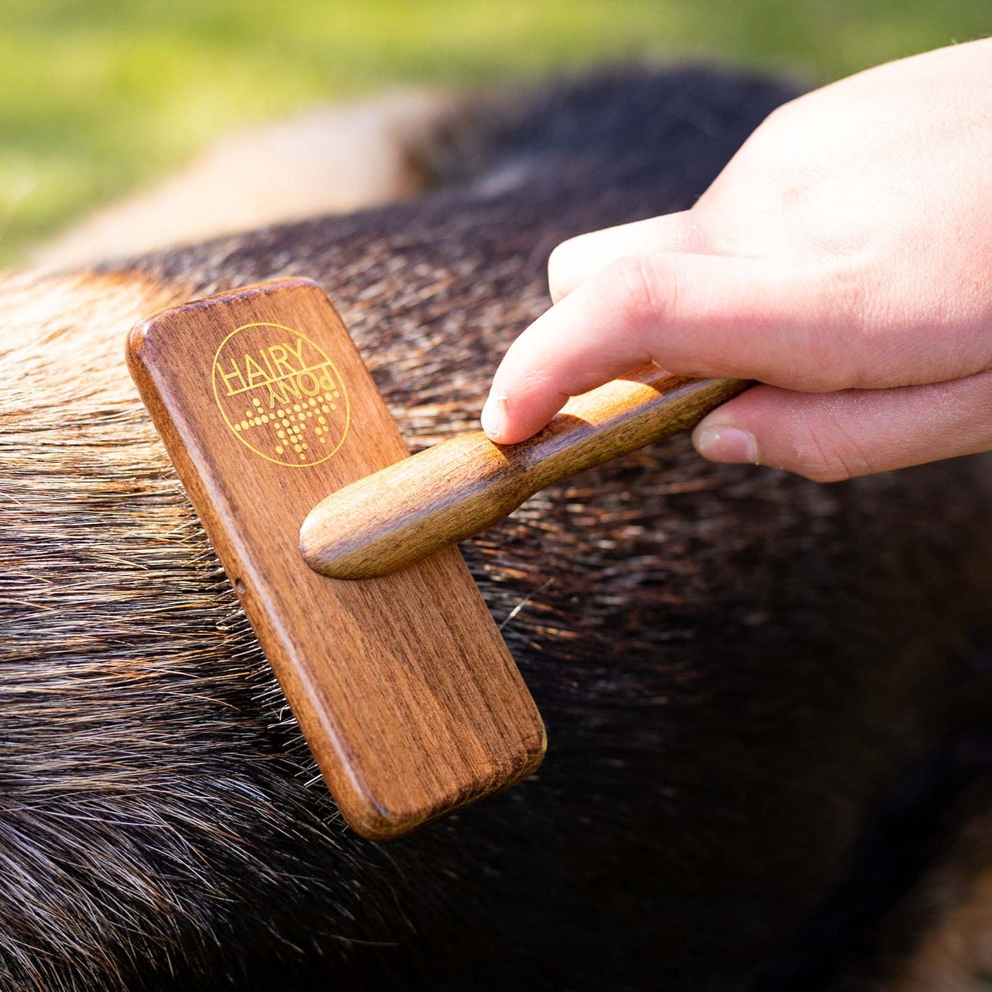 Hairy Pooch Soft Brush