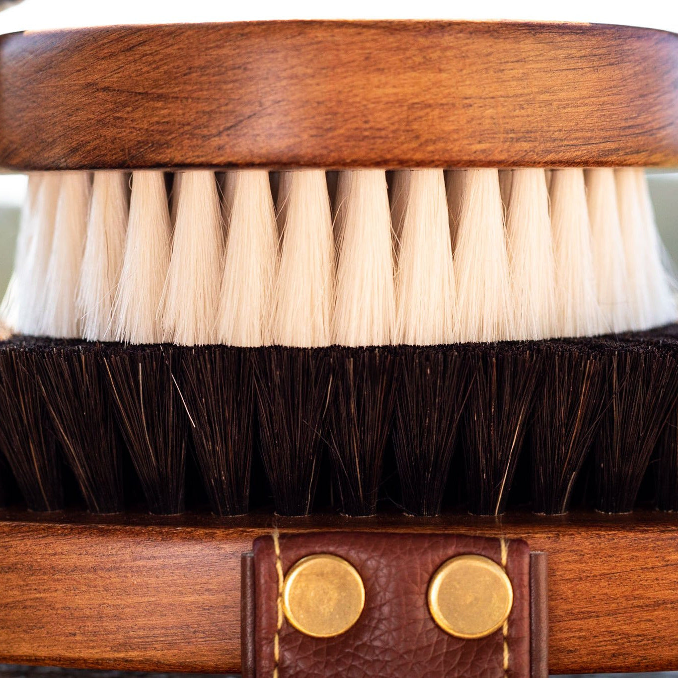 A close up of the bristles on the brushes.