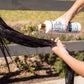 The shampoo being used on a horse's tail