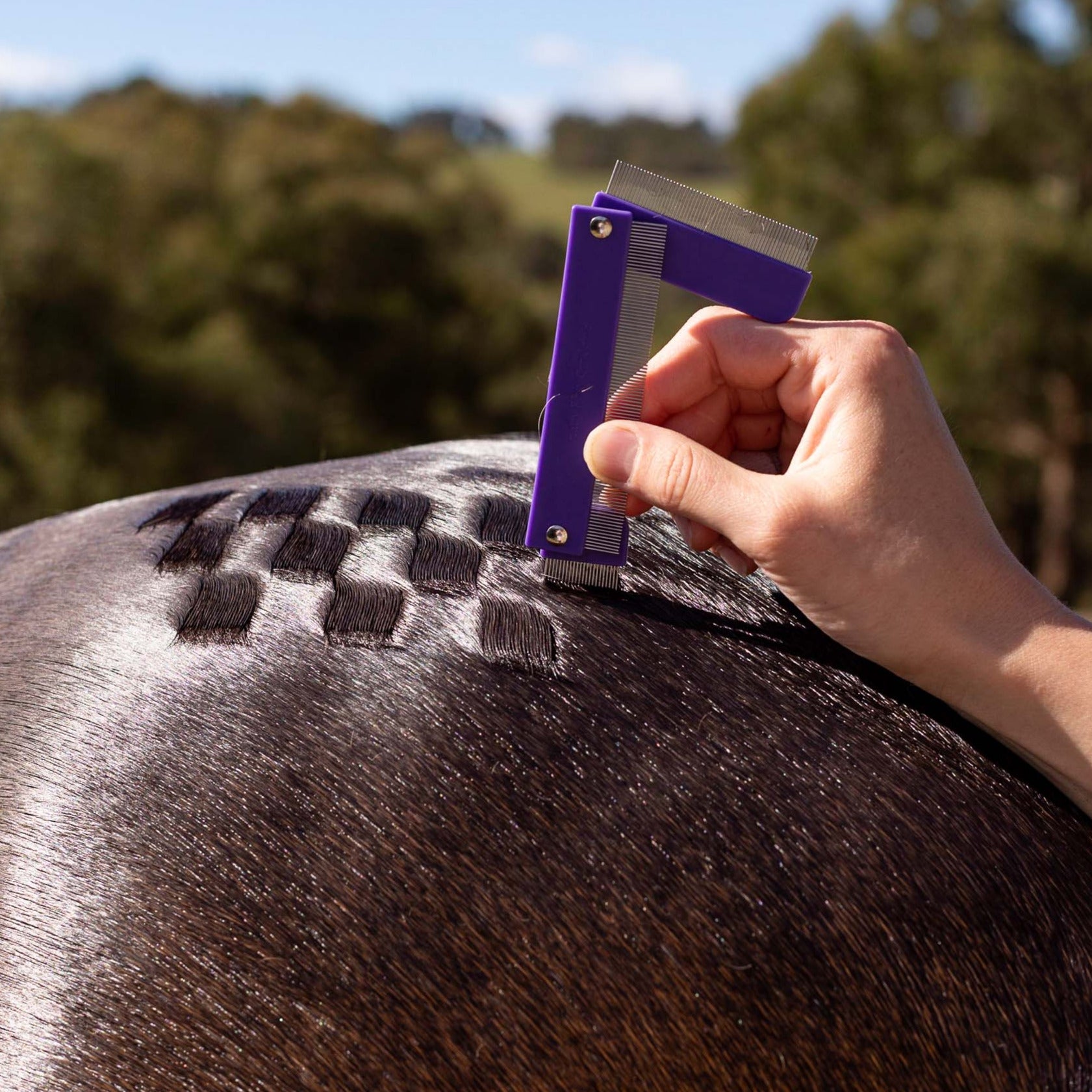 Hairy Pony QRT Mark Comb being used on a horse
