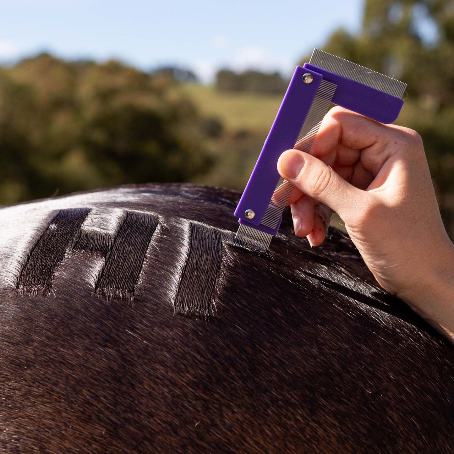Hairy Pony QRT Mark Comb being used on a horse