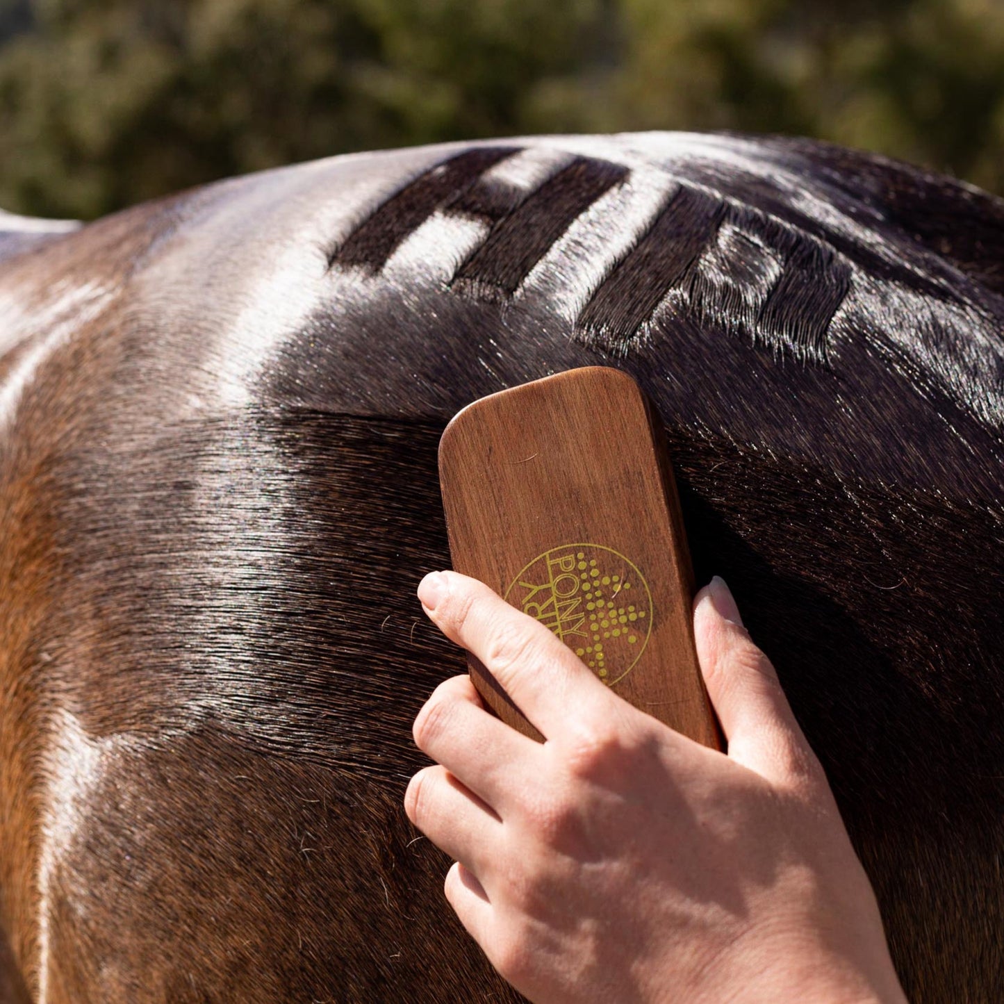 Hairy Pony Quarter Mark Brush being used on a horse