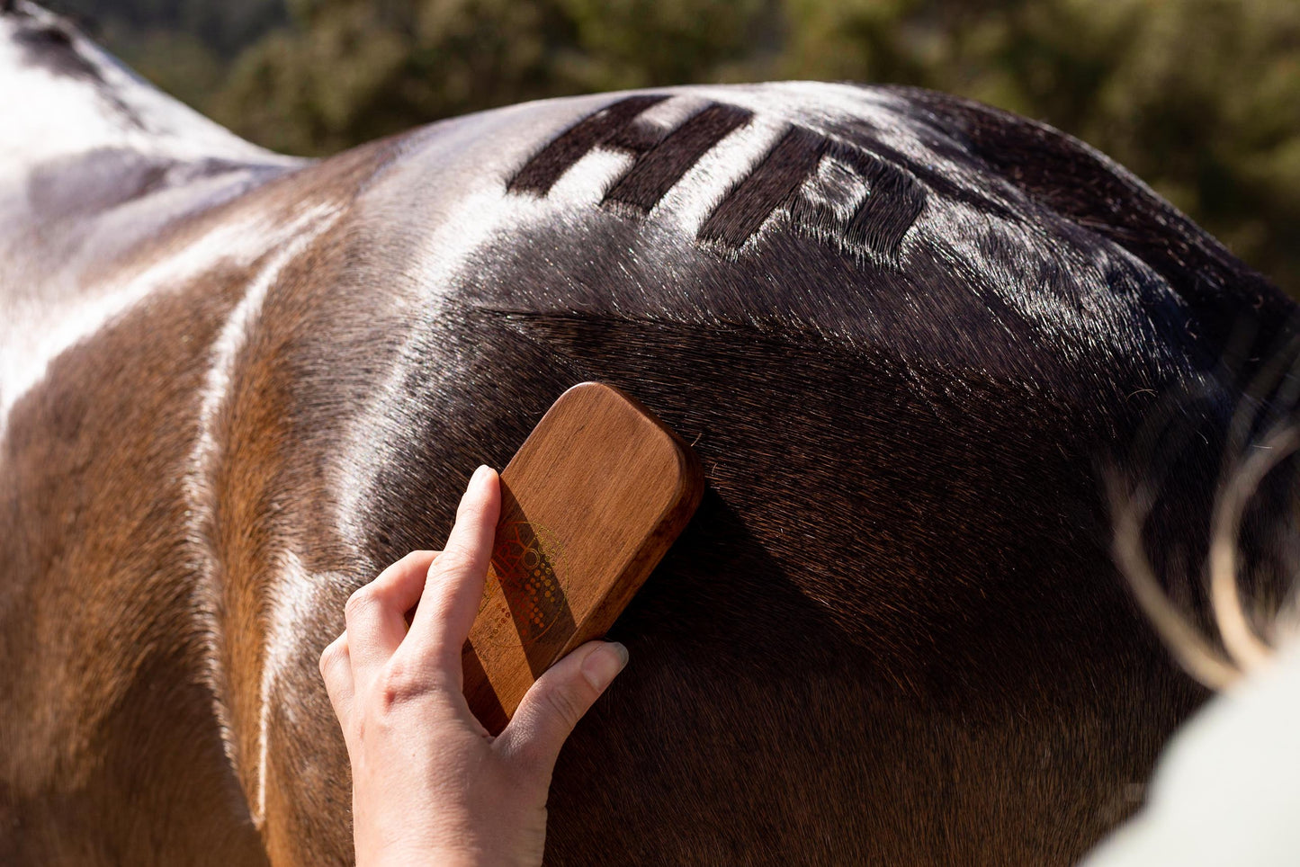 The letters "HP" in a pattern on a horse rump