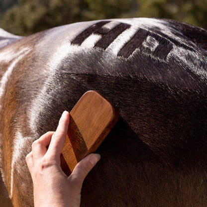 Hairy Pony Quarter Mark Brush being used on a horse