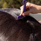 Horse Quarter Mark Comb being used on a horse's rump