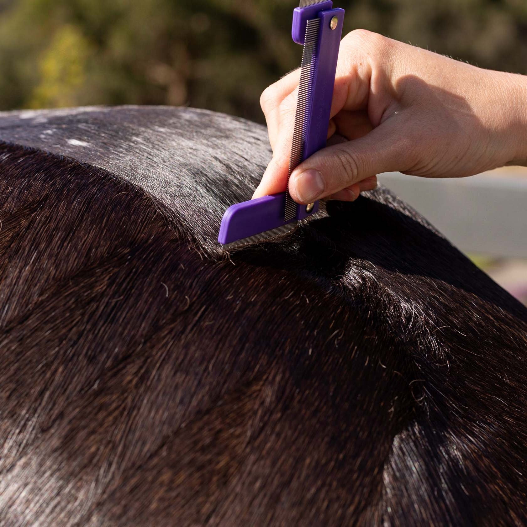 Horse Quarter Mark Comb being used on a horse's rump