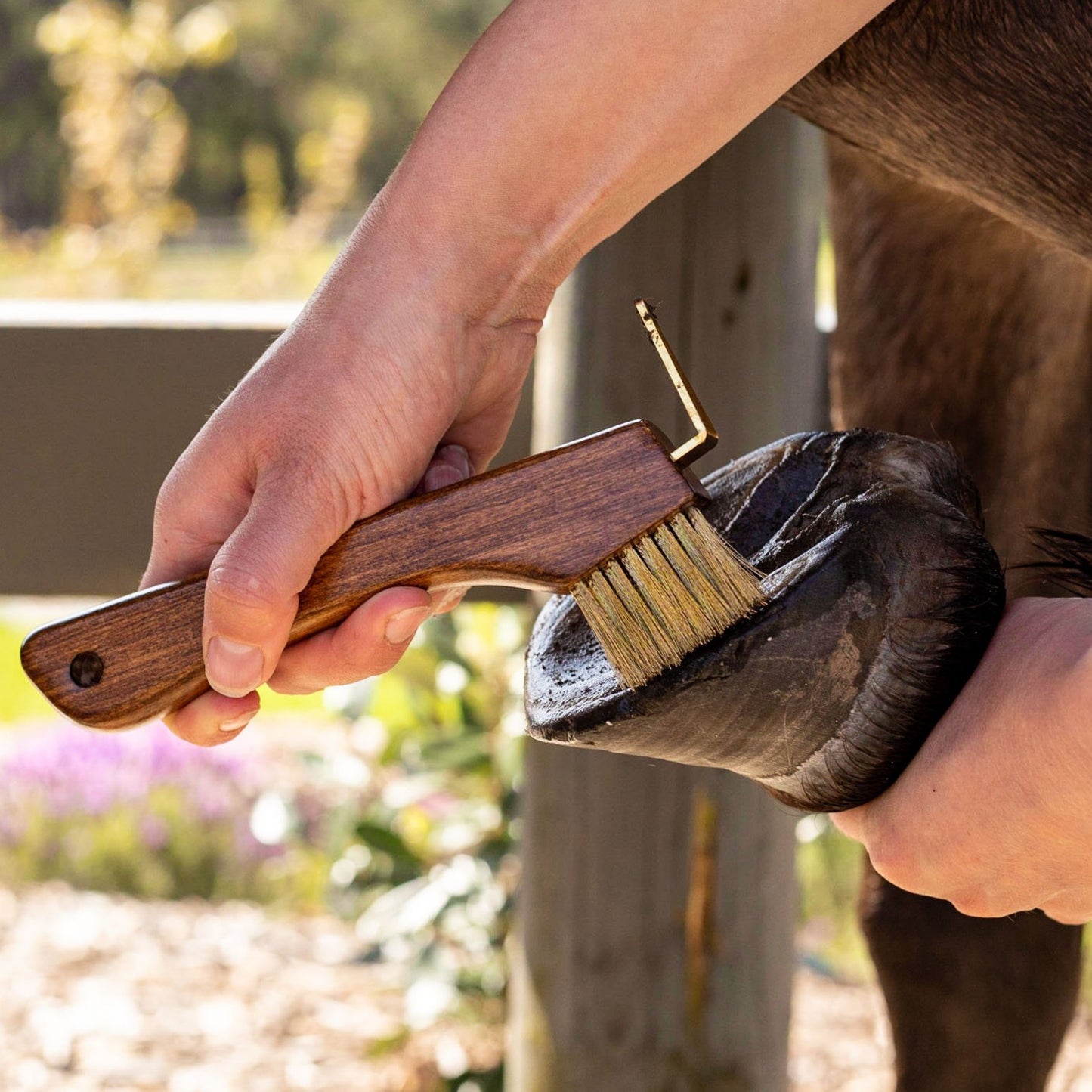 The Hairy Pony Copper Bristle Wooden Hoof Pick being used to pick out a pony's hoof.