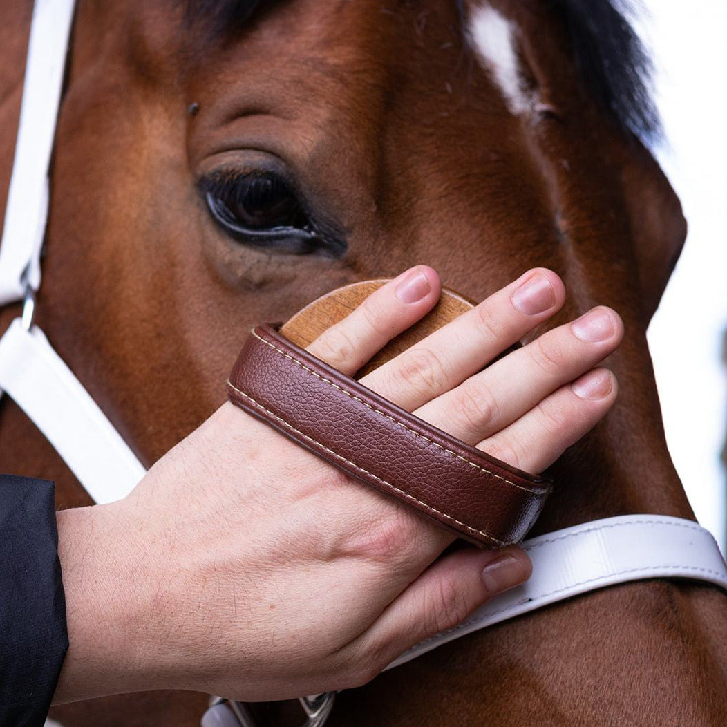 A person's hand through the soft, padded handle of the Hairy Pony Face Brush, showing it being used on a horse's face.