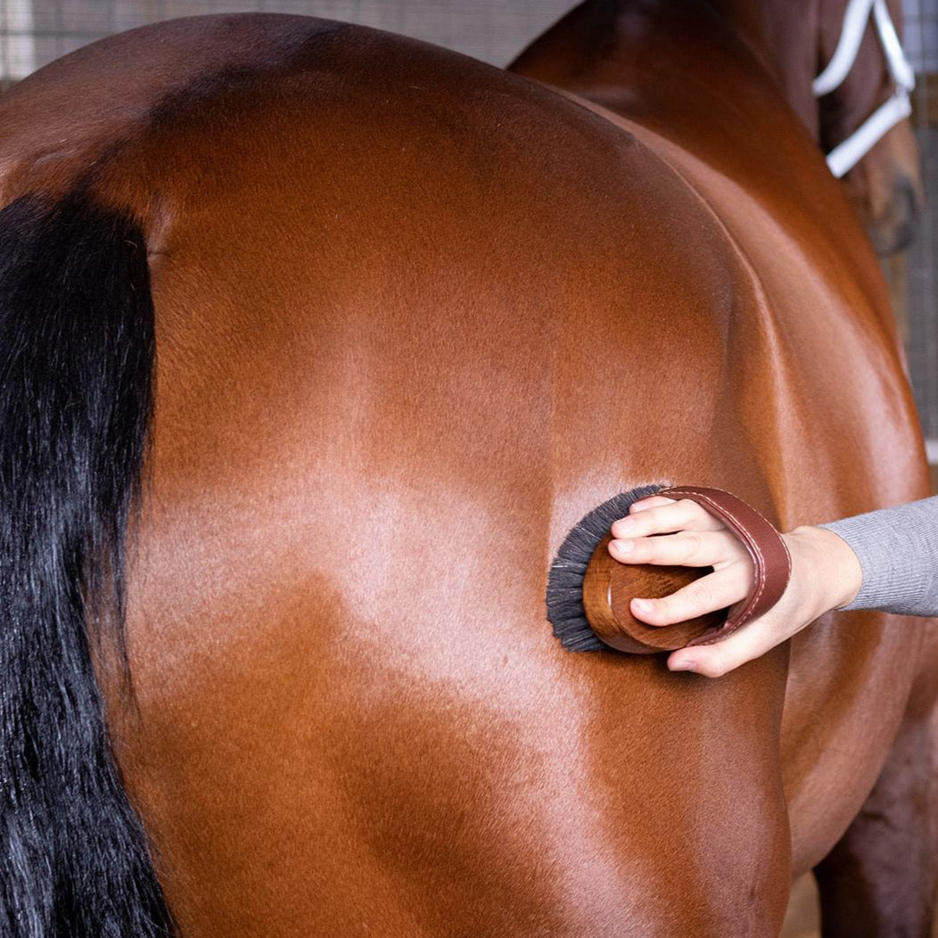 Horse Grooming Spray Bottle