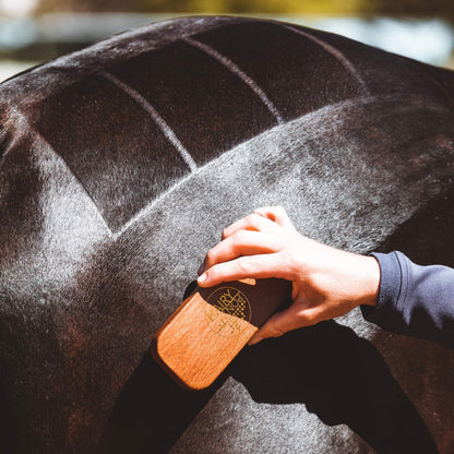 Quarter Mark Horse Brush being used on the phone