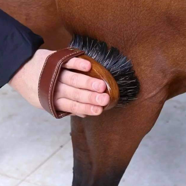 An image of the Hairy Pony Dandy Brush in use on a horse's leg. It is being held in a person's hand, with their hand through the padded handle.