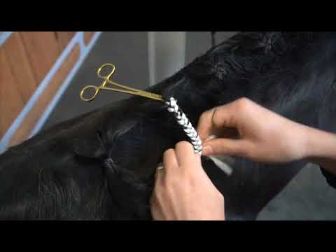 An video showing the Hairy Pony Fake It Horse Mane Hair Extensions being plaited into a horse's mane. The horse has a black mane and the synthetic Fake It hair is white to show the contrast.