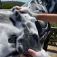 A photo of the Hairy Pony Compressed Scrubbing Horse Sponge after expanding with water. A black, coarse sponge being used to spread shampoo on a horse's coat.